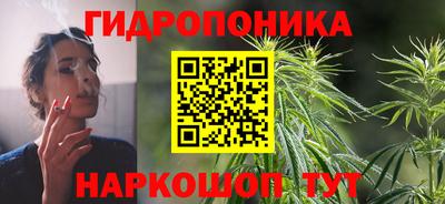 прущие грибы Обнинск