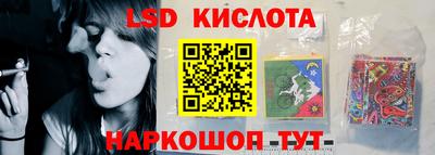 прущие грибы Обнинск