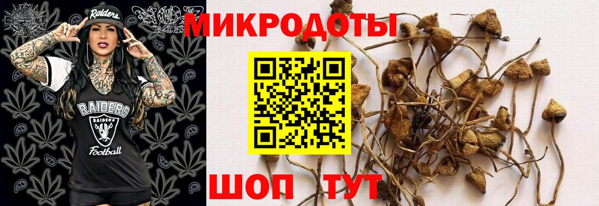 Псилоцибиновые грибы мицелий  Галлюциногенные грибы Psilocybine cubensis  Омск  Вход с VPN 