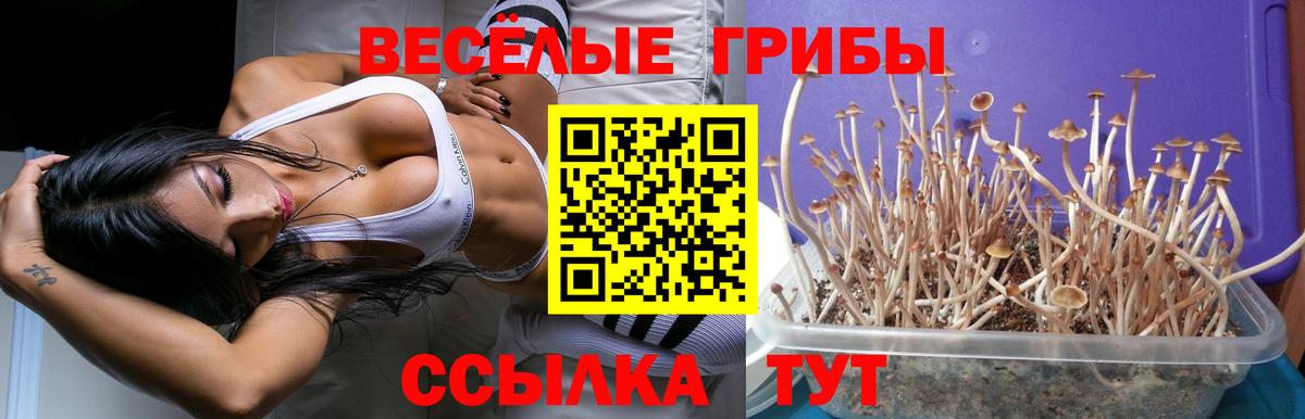 Псилоцибиновые грибы мицелий Омск